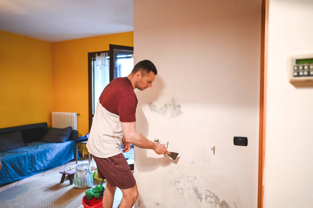Best Emergency Mold Remediation in Norwich, CT